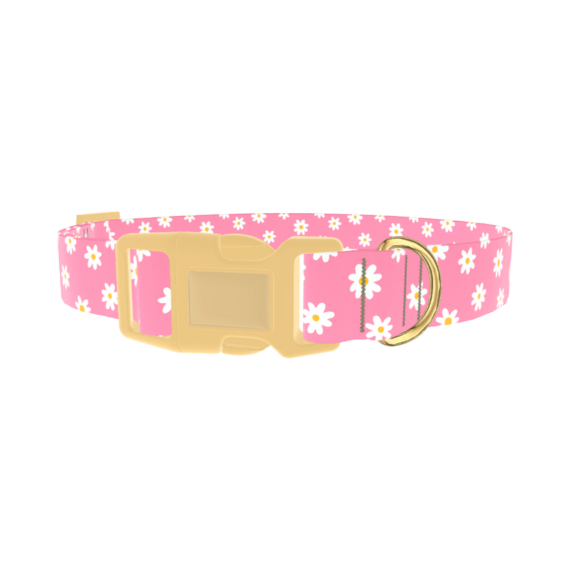 White Daisy Pink Dog Collar - plastic gold