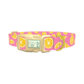 Pink Citrus Burst Dog Collar - plastic gold