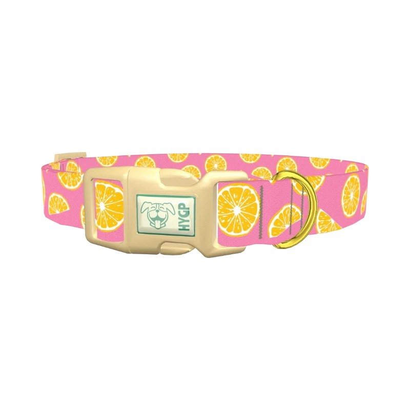 Pink Citrus Burst Dog Collar - plastic gold
