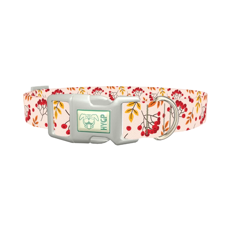 Autumn Rowanberry Dog Collar - plastic silver