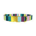Striped Pattern Dog Collar - metal gold
