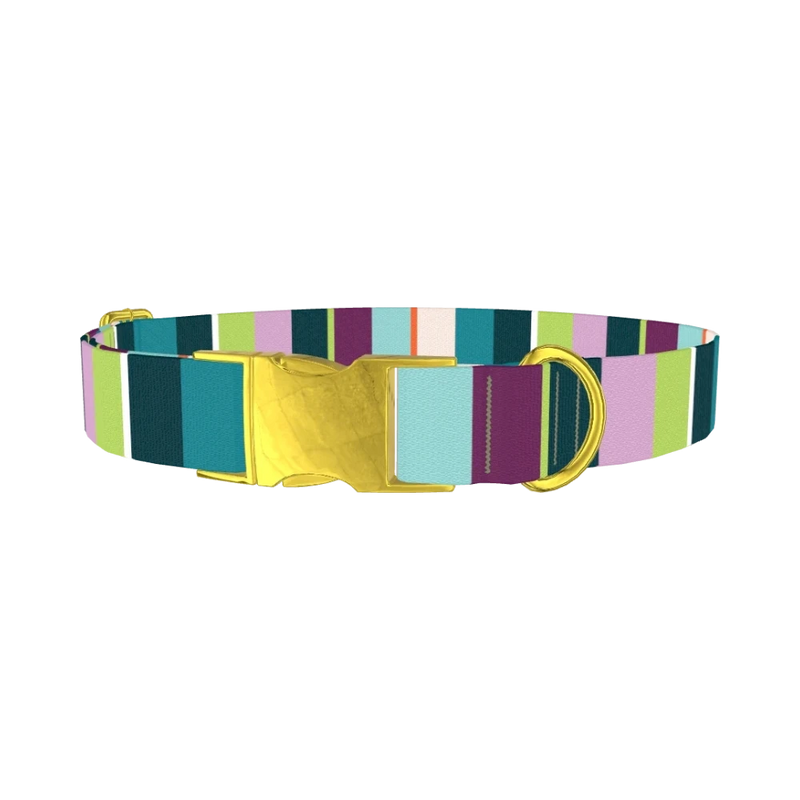 Striped Pattern Dog Collar - metal gold