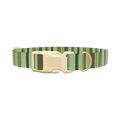 Green Striped Pattern Dog Collar - plastic silver