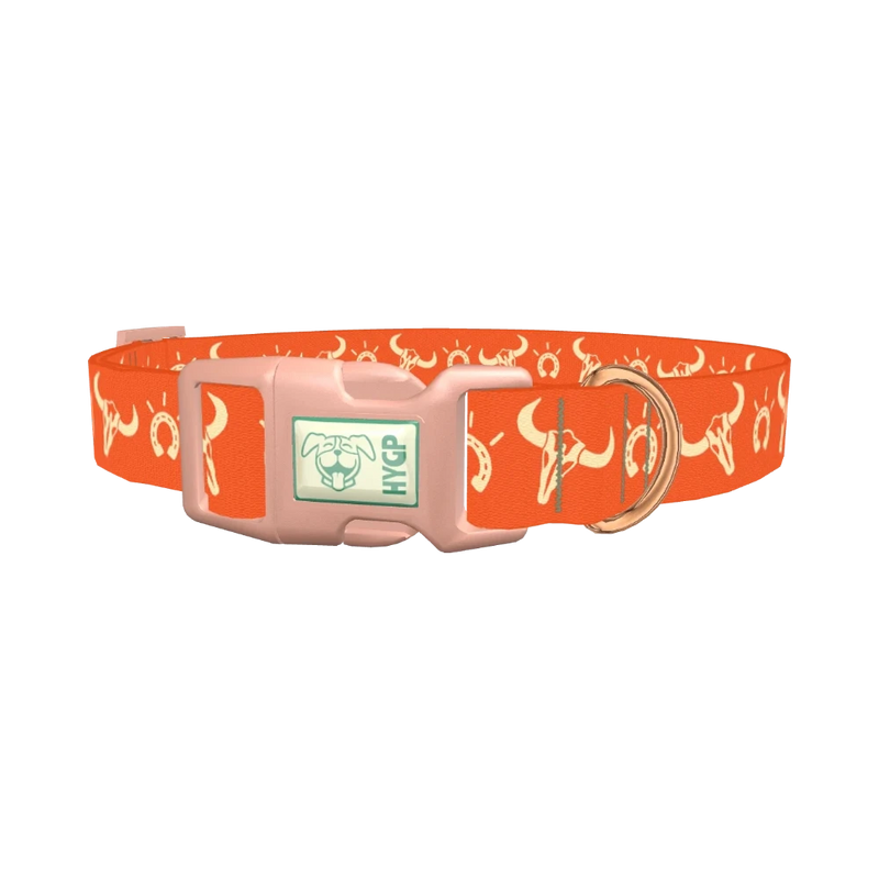 Western Skull Dog Collar - plastic rose gold