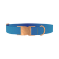 Oceanic Gradient Dog Collar - metal rose gold