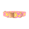 Pink Citrus Burst Dog Collar - metal rose gold