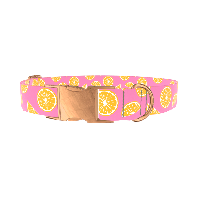 Pink Citrus Burst Dog Collar - metal rose gold