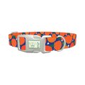 Orange Fruit Dog Collar - plastic silver