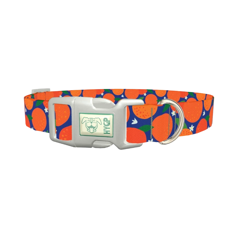 Orange Fruit Dog Collar - plastic silver