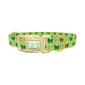 St. Patrick's Day Bow Dog Collar - plastic gold