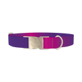 Pink Purple Gradient Dog Collar - metal silver