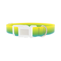 Gradient Dog Collar - plastic silver