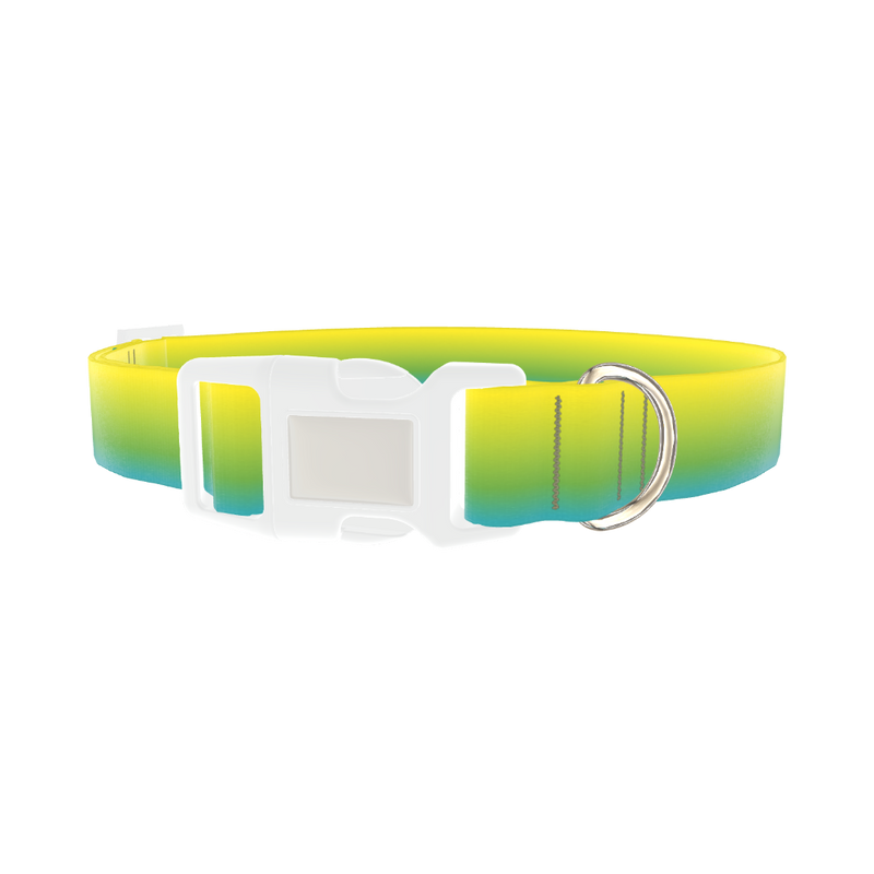 Gradient Dog Collar - plastic silver