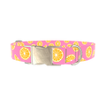 Pink Citrus Burst Dog Collar - metal silver