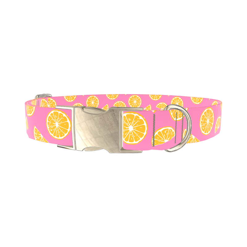 Pink Citrus Burst Dog Collar - metal silver