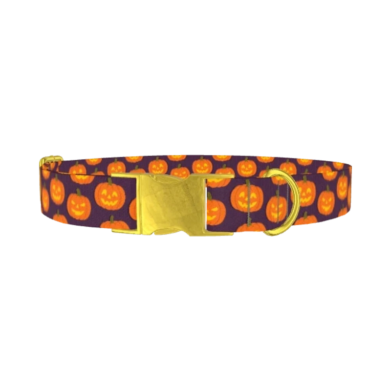 Halloween Pumpkin Dog Collar - metal gold