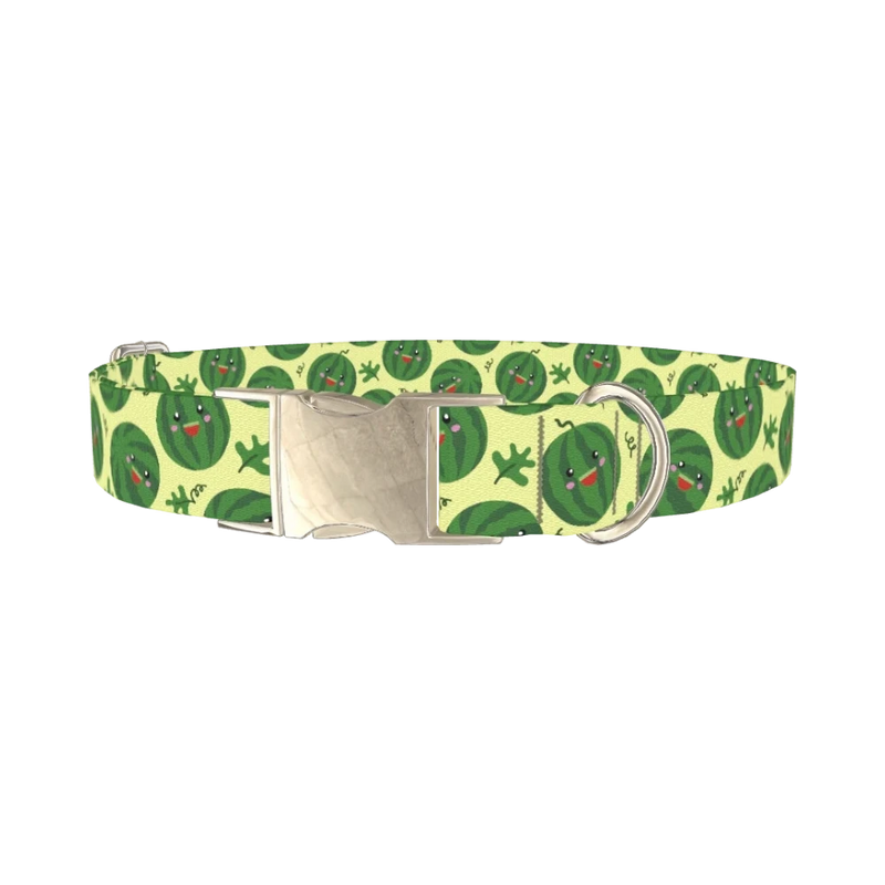 Watermelon Fruit Dog Collar - metal silver