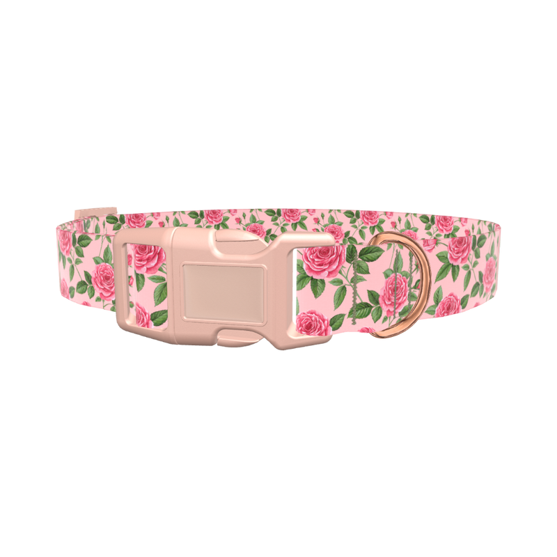 Floral Rose Dog Collar - plastic silver
