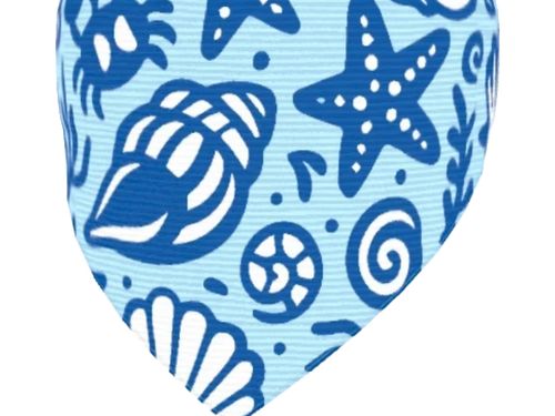 Ocean Seashell Dog Collar