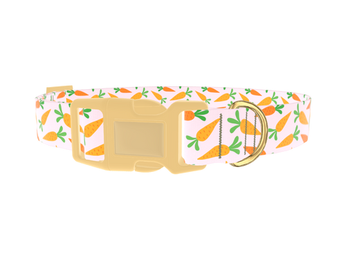 Carrot Garden Dog Collar