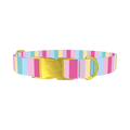 Pastel Stripe Mix Dog Collar - metal gold