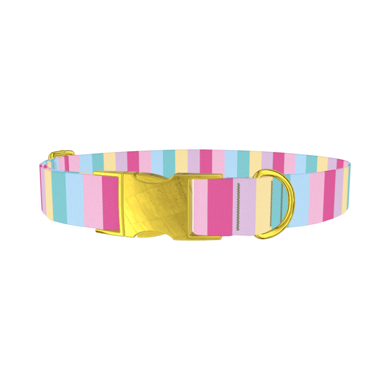Pastel Stripe Mix Dog Collar - metal gold