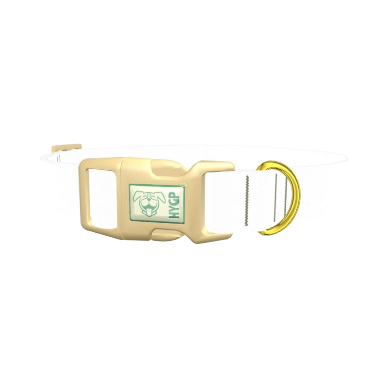 Camo Pattern Dog Collar - plastic gold
