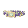 Purple Hydrangea Dog Collar - plastic gold