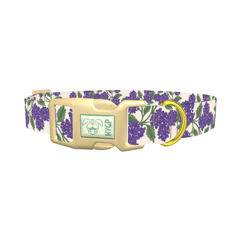 Purple Hydrangea Dog Collar - plastic gold