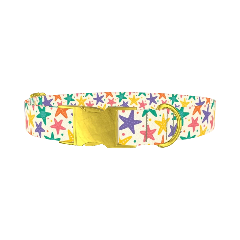 Starfish Mix Dog Collar - metal gold