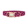 Halloween Coffin Dog Collar - plastic rose gold