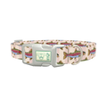 Rainbow Trout Fish Dog Collar - plastic silver