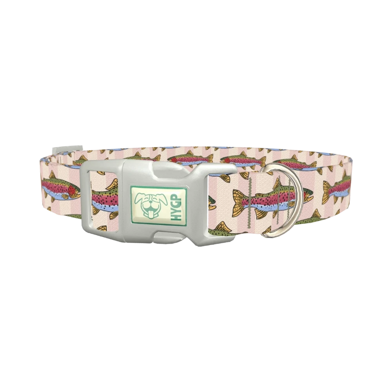 Rainbow Trout Fish Dog Collar - plastic silver