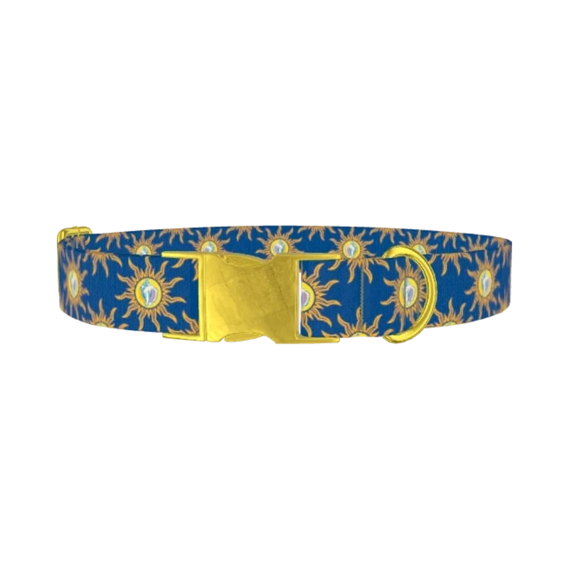 Conch Shell Sunburst Dog Collar - metal gold