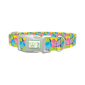 Bright Easter Egg Dog Collar - plastic silver