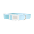 Blue Gradient Dog Collar - plastic silver