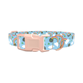 St. Patrick's Rainbow Dog Collar - plastic gold