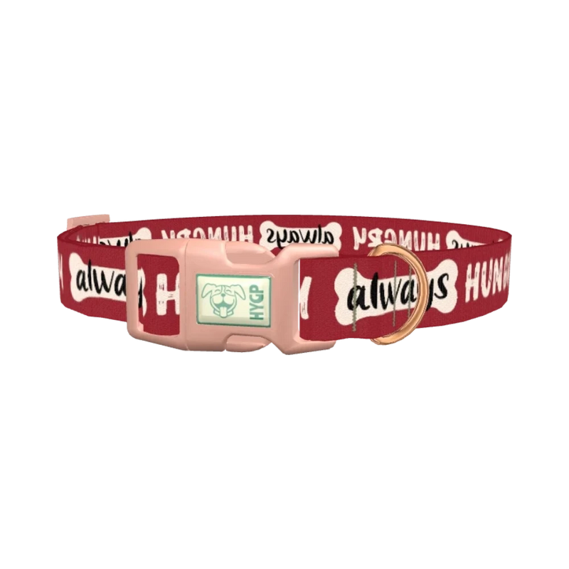 Always Hungry Dog Collar - plastic rose gold