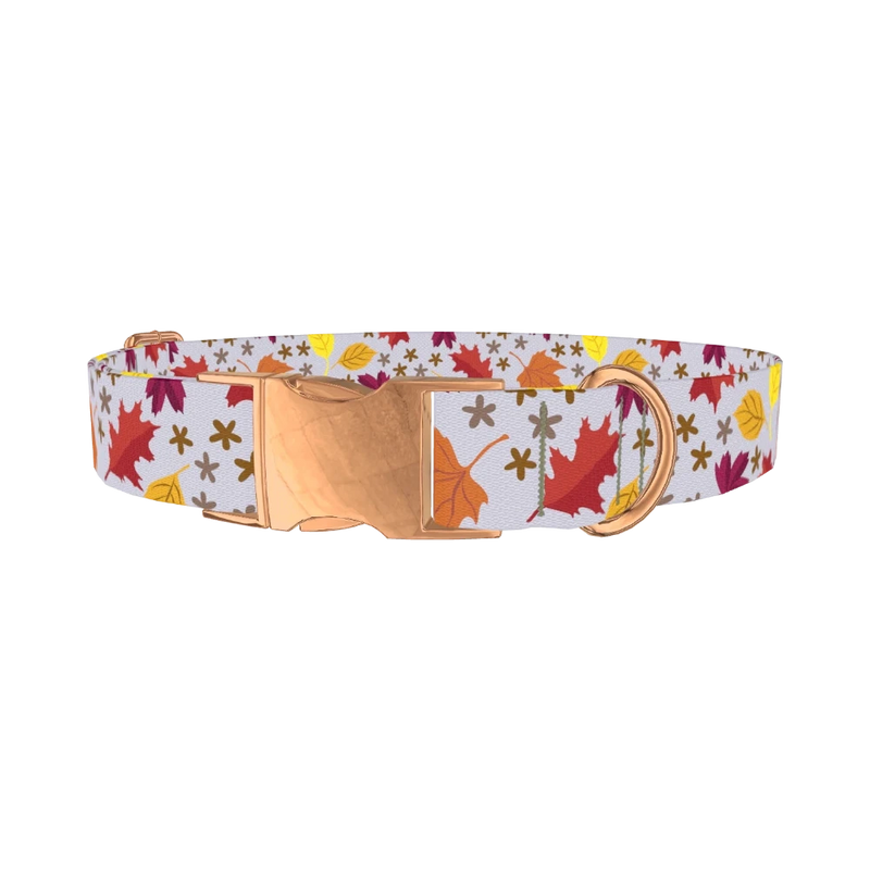 Colorful Fall Leaf Dog Collar - metal rose gold