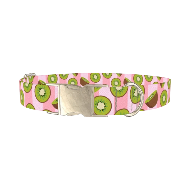 Pink Kiwi Pattern Dog Collar - metal silver
