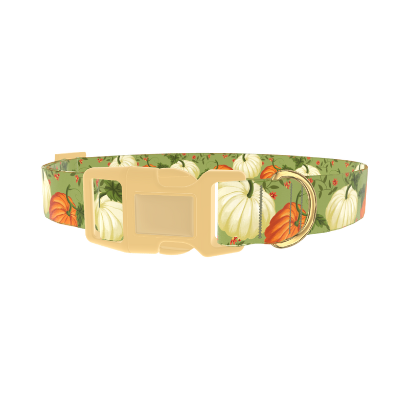 Pumpkin Floral Dog Collar - plastic gold