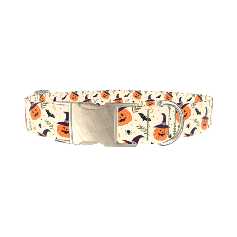 Witchy Pumpkin Halloween Dog Collar - metal gold