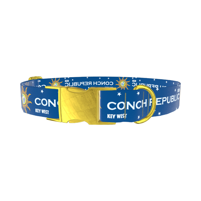 Conch Republic Star Dog Collar - metal silver
