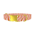 Retro Stripes Dog Collar - metal gold