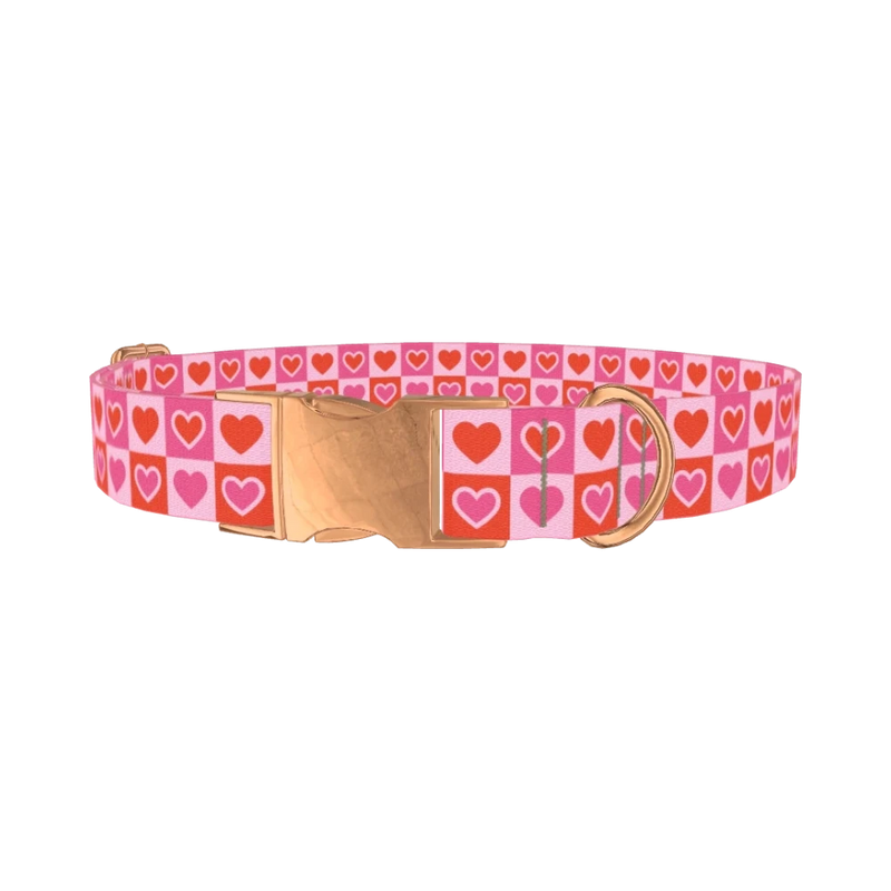 Color Block Heart Dog Collar - metal rose gold