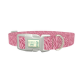 Pink Zebra Stripe Dog Collar - plastic silver