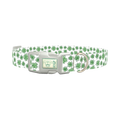 Green Clover Dog Collar - plastic silver