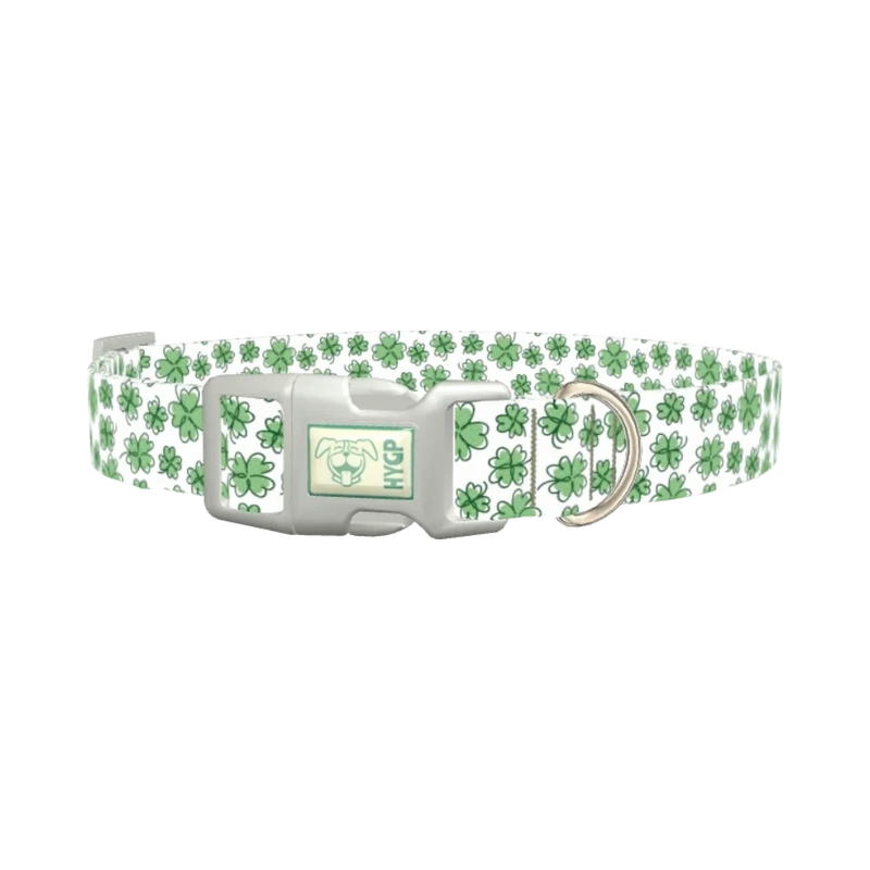 Green Clover Dog Collar - plastic silver