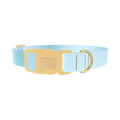 Blue Gradient Dog Collar - plastic gold