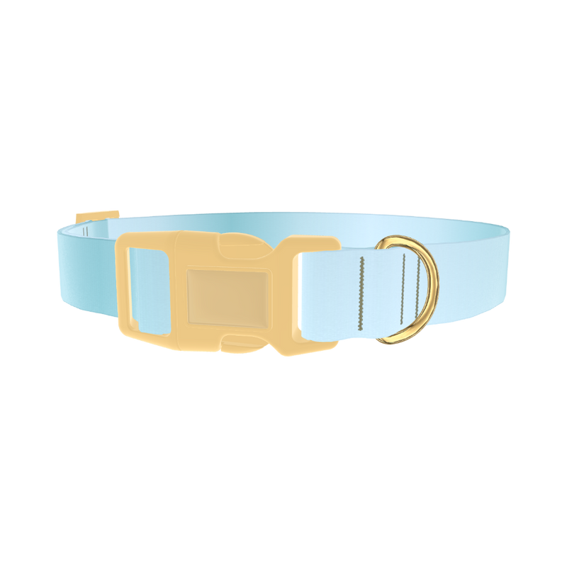 Blue Gradient Dog Collar - plastic gold